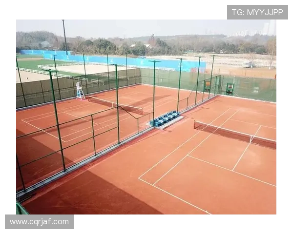 红土网球场的独特魅力与比赛策略对球员技术与体能的综合考验